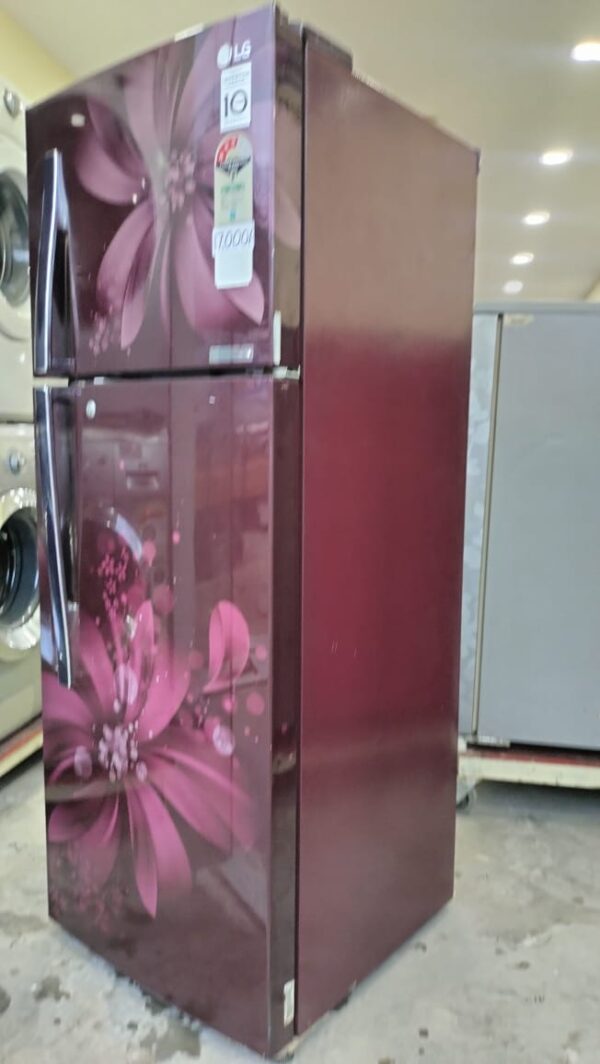 LG 280 ltr Smart Inverter Model Double Door With Floral Brown Color - Image 3