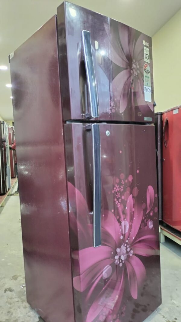 LG 280 ltr Smart Inverter Model Double Door With Floral Brown Color