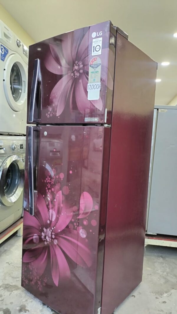 LG 280 ltr Smart Inverter Model Double Door With Floral Brown Color - Image 2