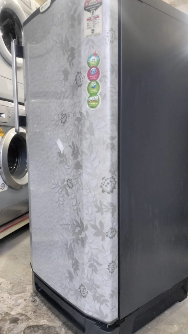 Godrej 190 ltr Refrigerator Single Door With Grey Flowers Color - Image 2