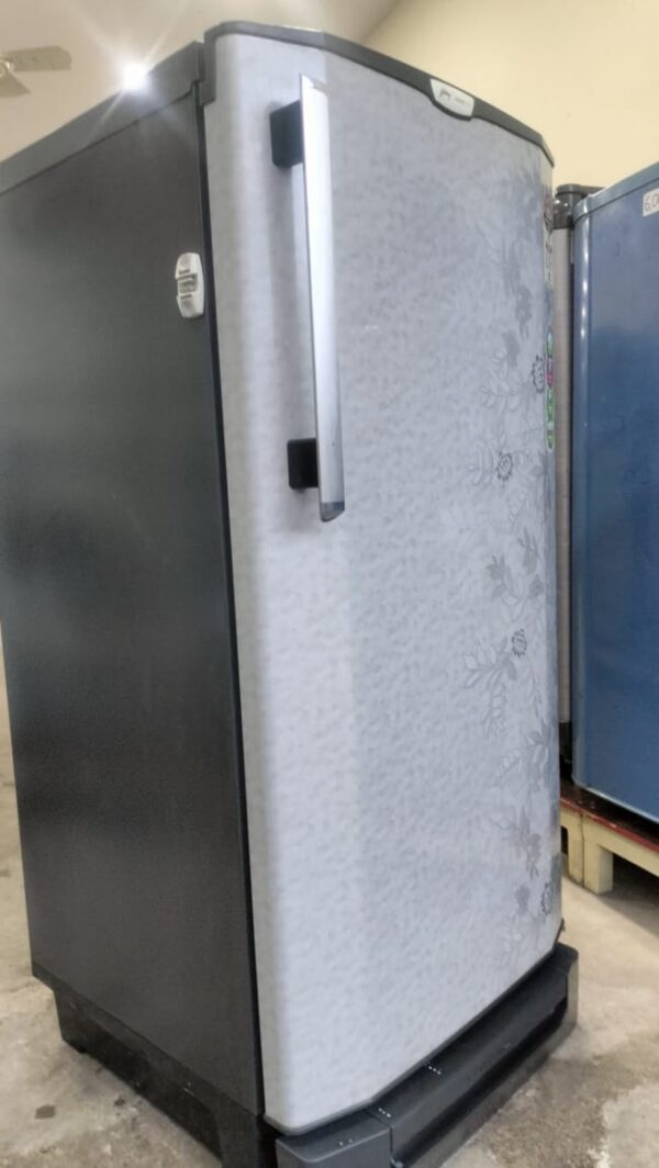 Godrej 190 ltr Refrigerator Single Door With Grey Flowers Color - Image 3