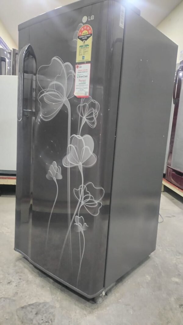 LG 190 ltr Refrigerator Single Door With Dark Grey Color and White Flowers - Image 3