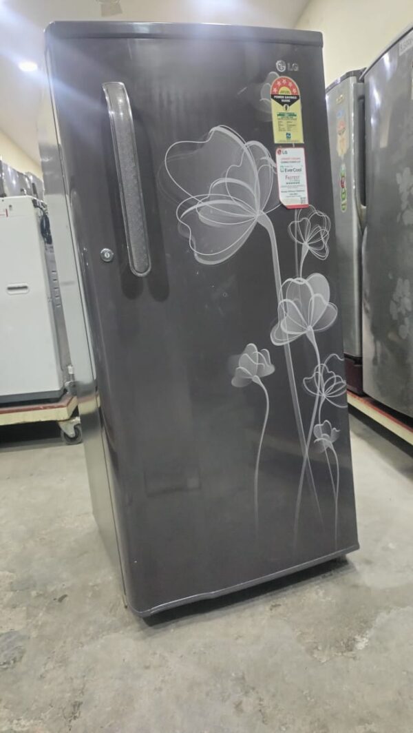 LG 190 ltr Refrigerator Single Door With Dark Grey Color and White Flowers - Image 2