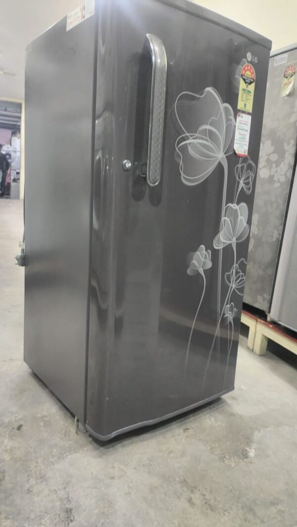 LG 190 ltr Refrigerator Single Door With Dark Grey Color and White Flowers
