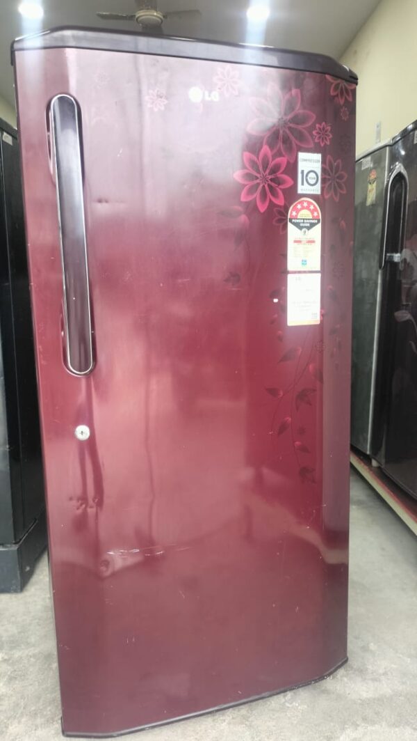 LG 215 ltr Refrigerator Single Door With Dark Brown Color and Flower Design