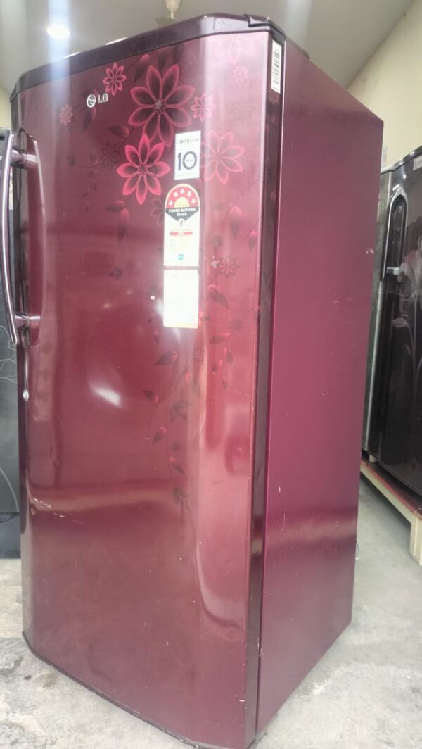 LG 215 ltr Refrigerator Single Door With Dark Brown Color and Flower Design - Image 2